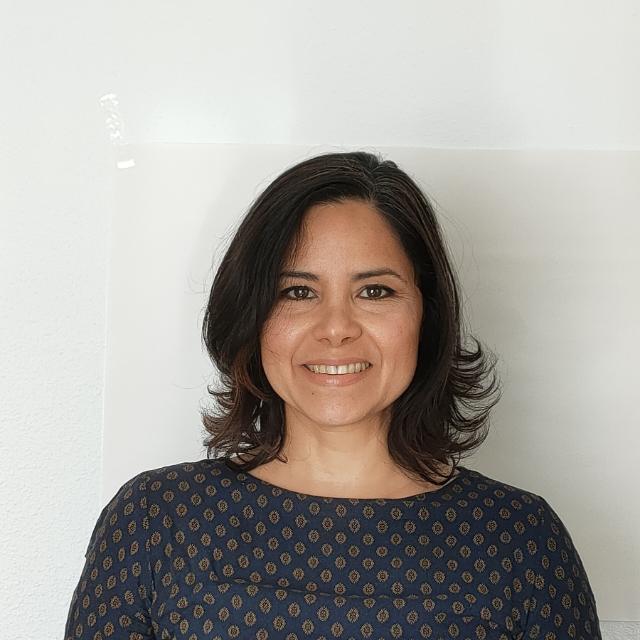 img disenadora web img disenadora web